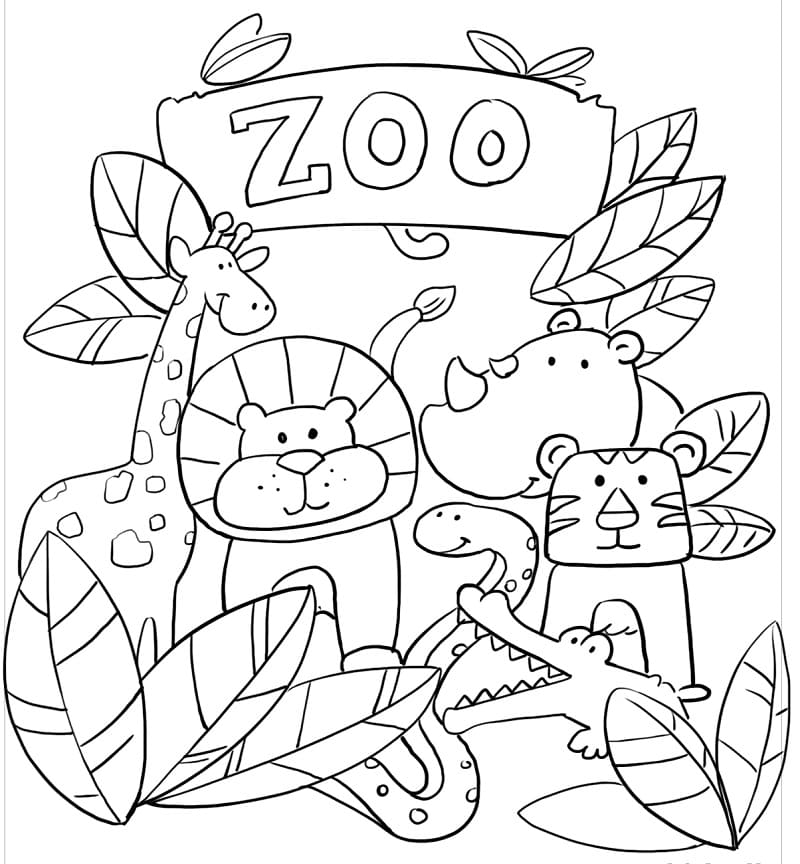 Animali Fantastici dello Zoo da colorare: Album da disegno per bambini da 4  a 8 anni per imparare a colorare (Paperback)